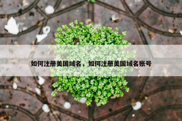 如何注册美国域名，如何注册美国域名账号
