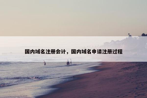 国内域名注册会计，国内域名申请注册过程