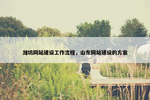 潍坊网站建设工作流程，山东网站建设的方案