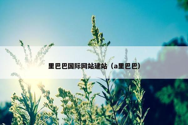 里巴巴国际网站建站（a里巴巴）