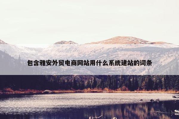 包含雅安外贸电商网站用什么系统建站的词条