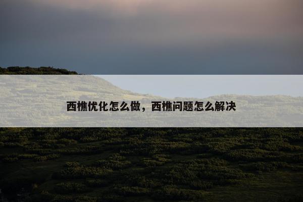 西樵优化怎么做，西樵问题怎么解决