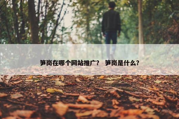 笋岗在哪个网站推广？ 笋岗是什么？