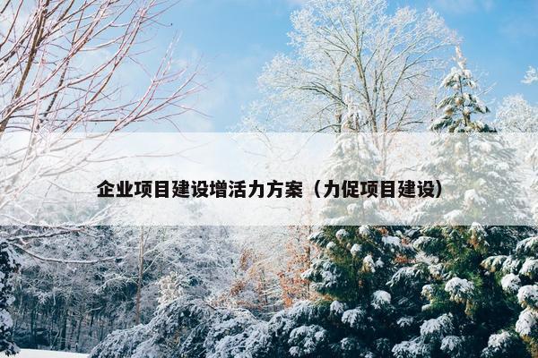 企业项目建设增活力方案（力促项目建设）