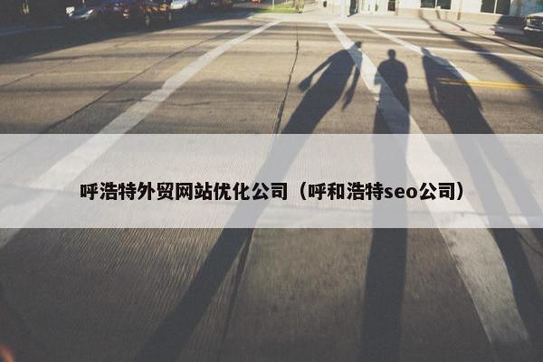 呼浩特外贸网站优化公司（呼和浩特seo公司）
