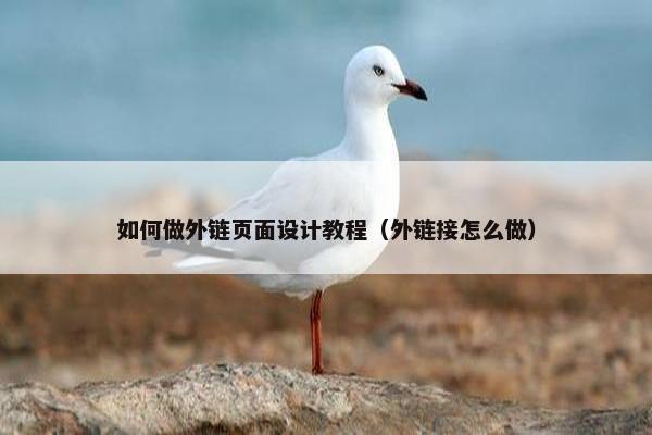 如何做外链页面设计教程（外链接怎么做）
