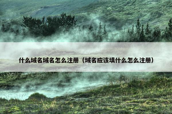 什么域名域名怎么注册（域名应该填什么怎么注册）