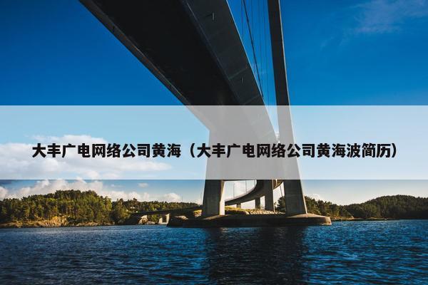 大丰广电网络公司黄海（大丰广电网络公司黄海波简历）