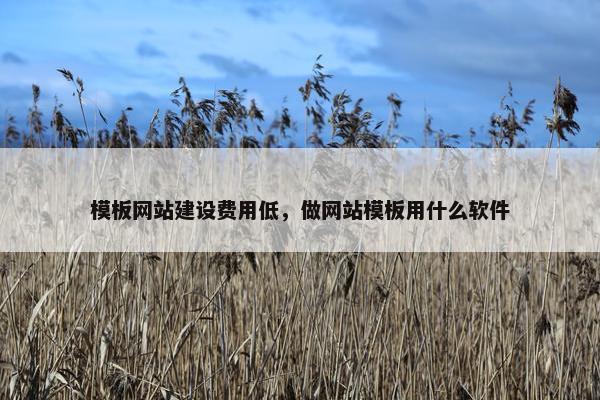 模板网站建设费用低，做网站模板用什么软件