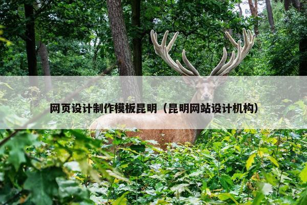 网页设计制作模板昆明（昆明网站设计机构）