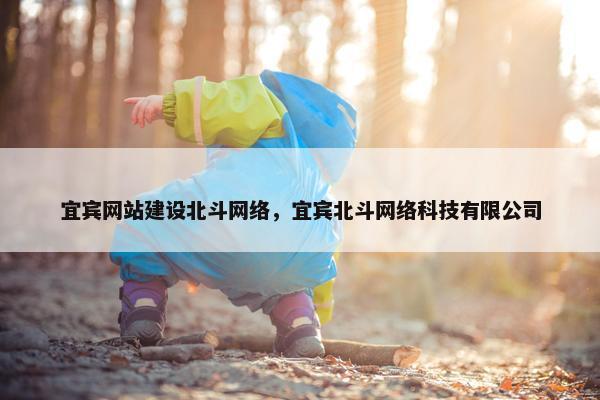 宜宾网站建设北斗网络，宜宾北斗网络科技有限公司