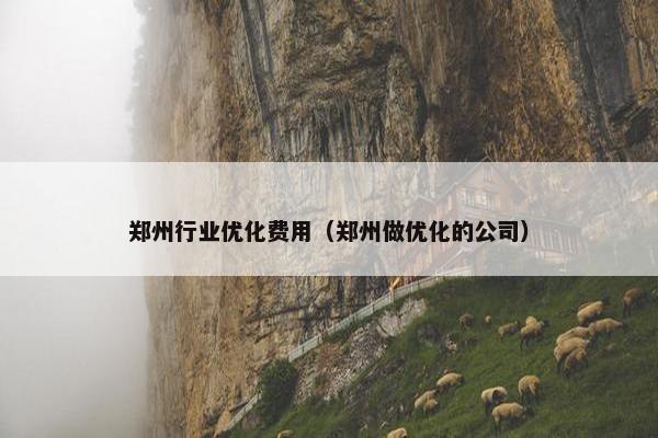 郑州行业优化费用（郑州做优化的公司）