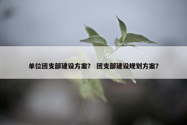 单位团支部建设方案？ 团支部建设规划方案？