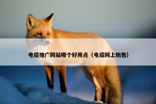 电缆推广网站哪个好用点（电缆网上销售）