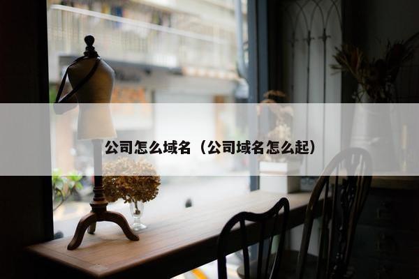 公司怎么域名（公司域名怎么起）
