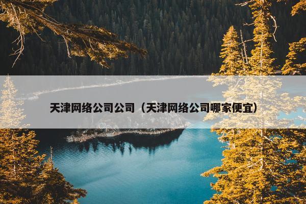 天津网络公司公司（天津网络公司哪家便宜）