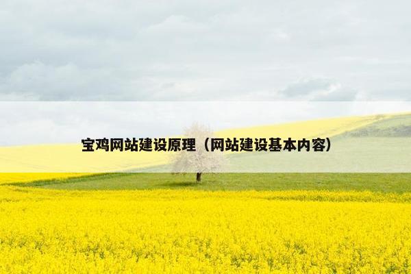 宝鸡网站建设原理（网站建设基本内容）