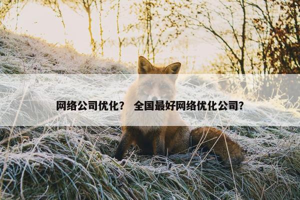 网络公司优化？ 全国最好网络优化公司？