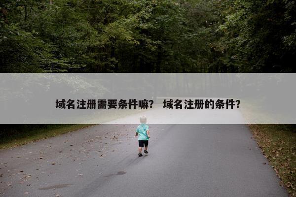 域名注册需要条件嘛？ 域名注册的条件？
