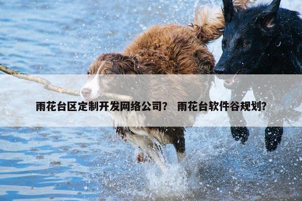雨花台区定制开发网络公司？ 雨花台软件谷规划？