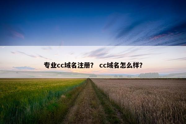 专业cc域名注册？ cc域名怎么样？