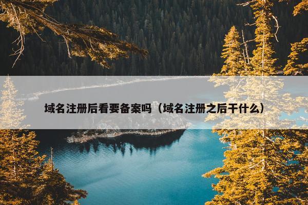 域名注册后看要备案吗（域名注册之后干什么）