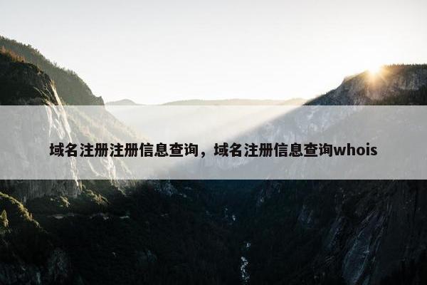域名注册注册信息查询，域名注册信息查询whois