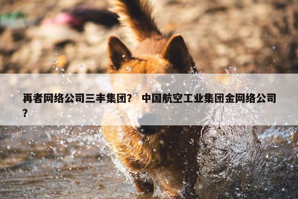 再者网络公司三丰集团？ 中国航空工业集团金网络公司？