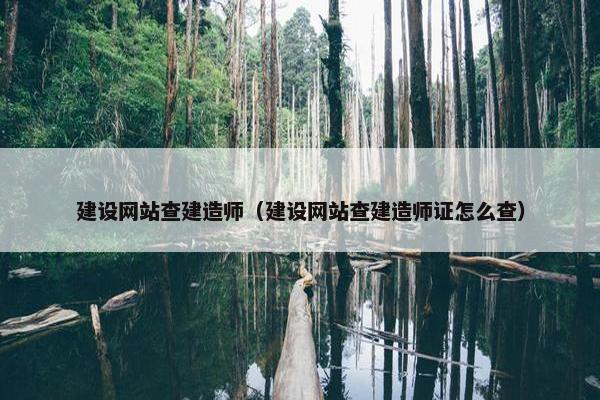 建设网站查建造师（建设网站查建造师证怎么查）