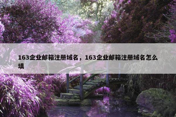 163企业邮箱注册域名，163企业邮箱注册域名怎么填