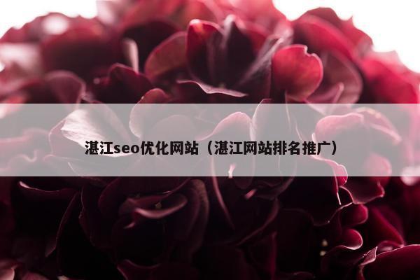 湛江seo优化网站（湛江网站排名推广）