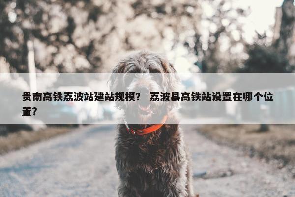 贵南高铁荔波站建站规模？ 荔波县高铁站设置在哪个位置？