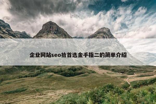 企业网站seo拾首选金手指二的简单介绍