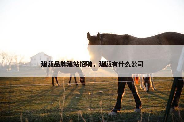 建瓯品牌建站招聘，建瓯有什么公司