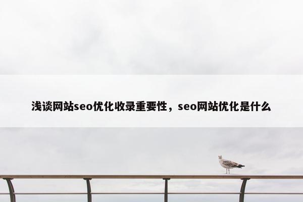 浅谈网站seo优化收录重要性，seo网站优化是什么