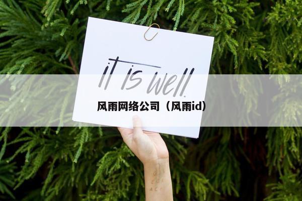 风雨网络公司（风雨id）