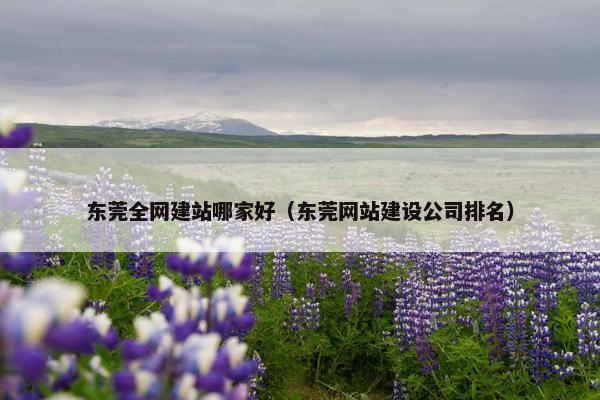 东莞全网建站哪家好（东莞网站建设公司排名）