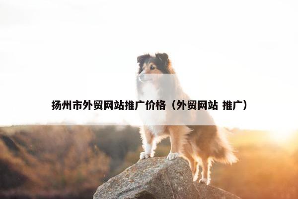 扬州市外贸网站推广价格（外贸网站 推广）