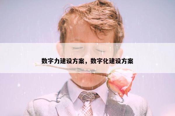 数字力建设方案，数字化建设方案