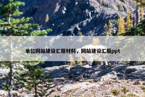 单位网站建设汇报材料，网站建设汇报ppt