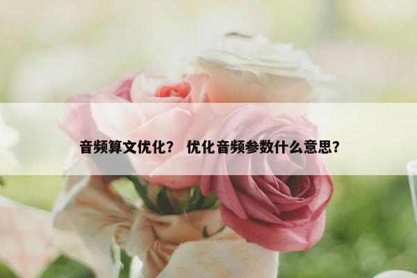 音频算文优化？ 优化音频参数什么意思？