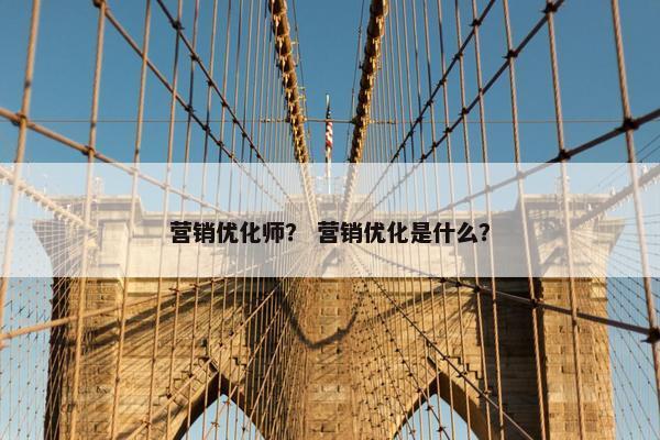 营销优化师？ 营销优化是什么？