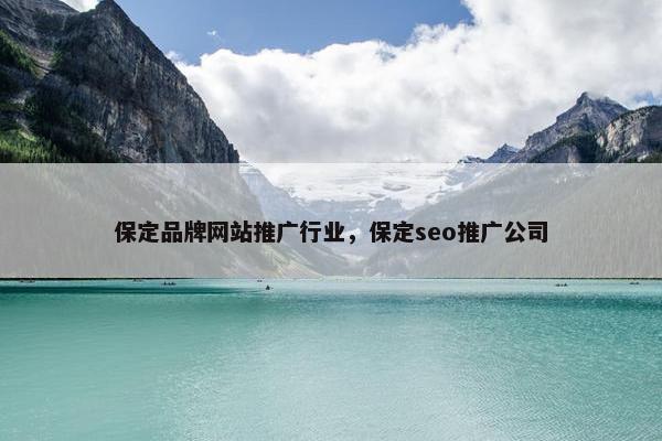 保定品牌网站推广行业，保定seo推广公司