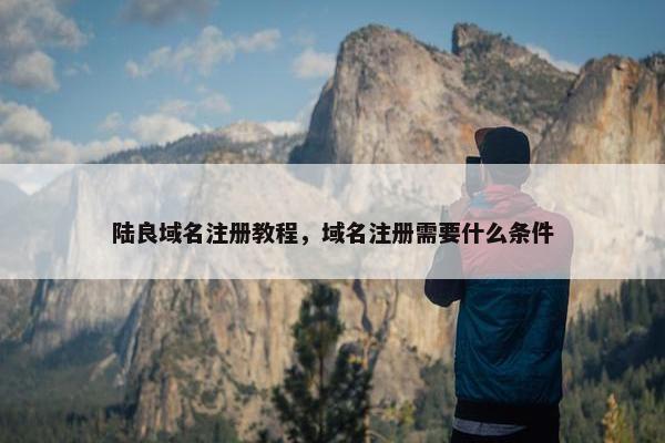 陆良域名注册教程，域名注册需要什么条件