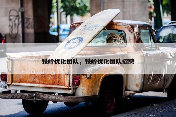 铁岭优化团队，铁岭优化团队招聘