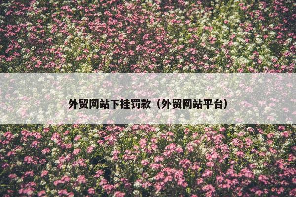 外贸网站下挂罚款（外贸网站平台）