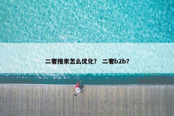 二奢搜索怎么优化？ 二奢b2b？