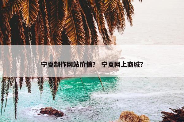 宁夏制作网站价值？ 宁夏网上商城？