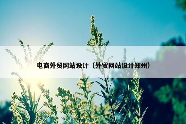 电商外贸网站设计（外贸网站设计郑州）
