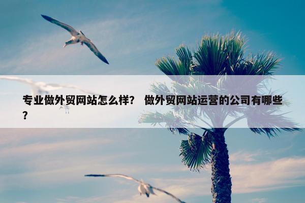 专业做外贸网站怎么样？ 做外贸网站运营的公司有哪些？